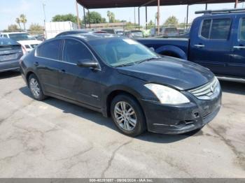  Salvage Nissan Altima