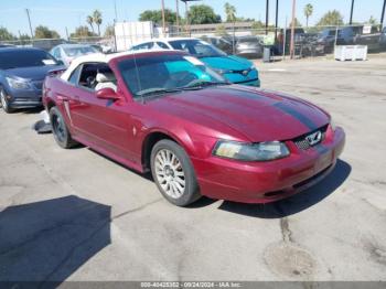  Salvage Ford Mustang