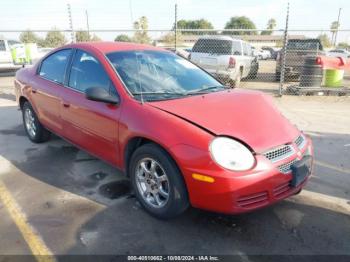  Salvage Dodge Neon