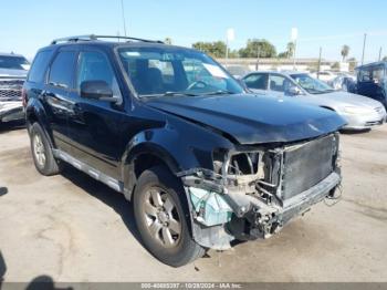  Salvage Ford Escape