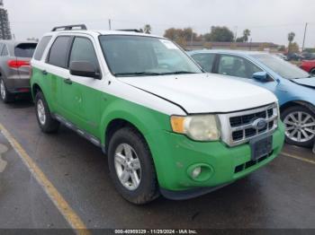  Salvage Ford Escape