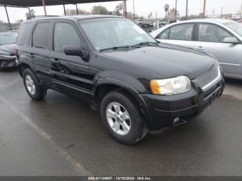  Salvage Ford Escape