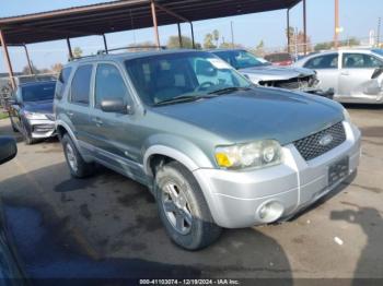  Salvage Ford Escape