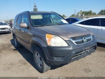  Salvage Honda CR-V