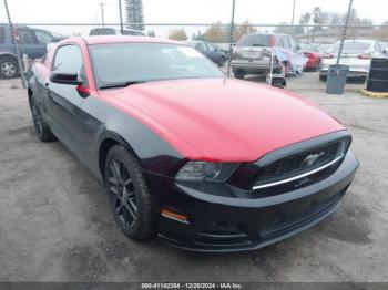  Salvage Ford Mustang