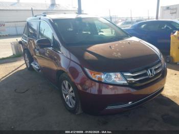  Salvage Honda Odyssey