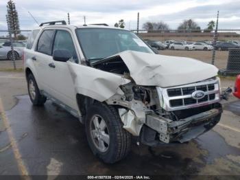  Salvage Ford Escape