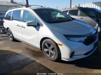  Salvage Honda Odyssey