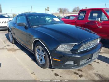  Salvage Ford Mustang