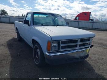  Salvage Dodge Dakota