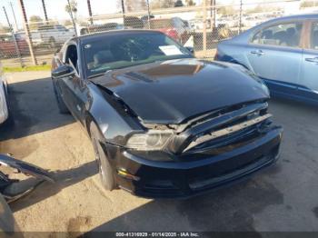  Salvage Ford Mustang