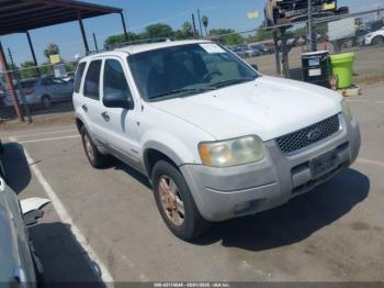  Salvage Ford Escape