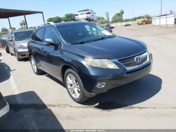  Salvage Lexus RX