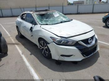  Salvage Nissan Maxima