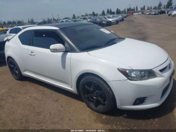  Salvage Scion TC