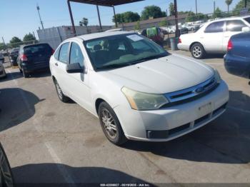  Salvage Ford Focus