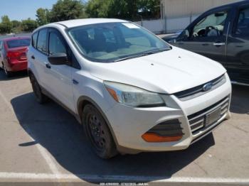  Salvage Ford Escape