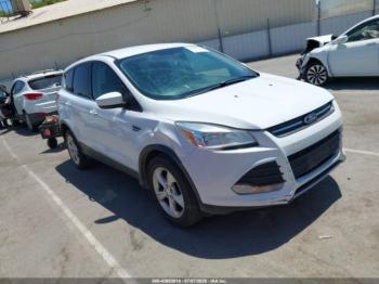  Salvage Ford Escape
