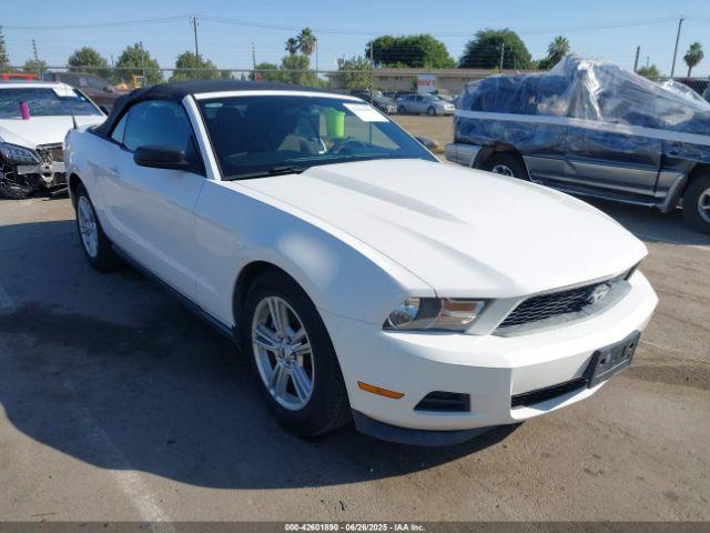  Salvage Ford Mustang