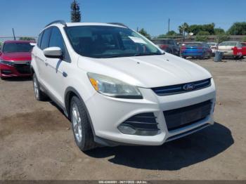  Salvage Ford Escape