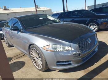  Salvage Jaguar XJ