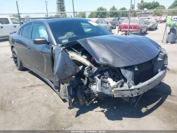  Salvage Dodge Charger