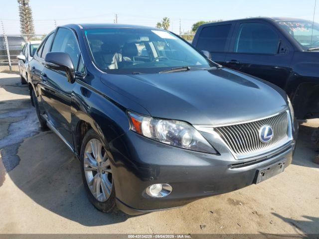  Salvage Lexus RX