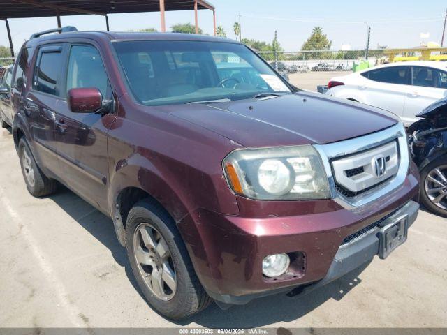  Salvage Honda Pilot