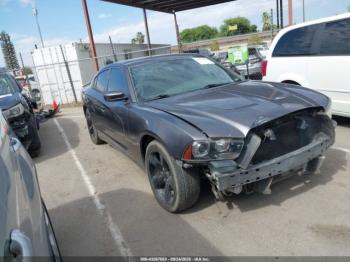  Salvage Dodge Charger