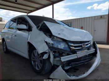  Salvage Honda Odyssey