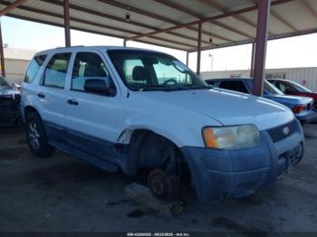 Salvage Ford Escape