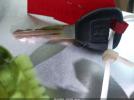 Honda Civic Lx Image 10