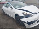 Tesla Model 3 Image 14