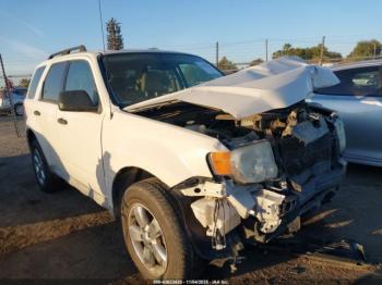  Salvage Ford Escape