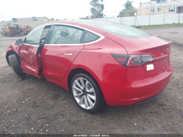 Tesla Model 3 Image 6