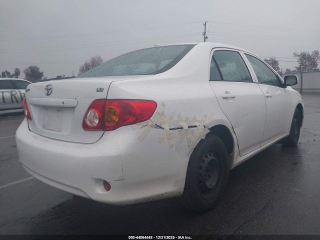 Toyota Corolla Le Image 5