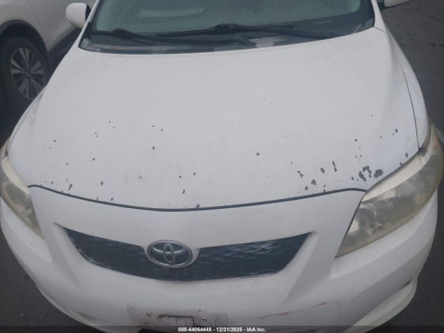 Toyota Corolla Le Image 13