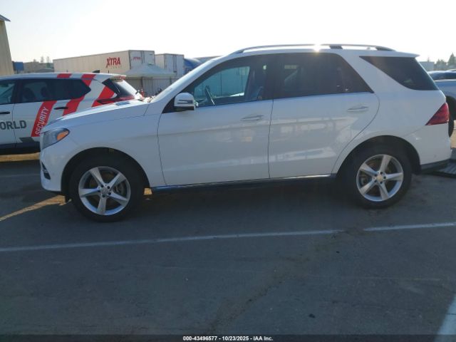 Mercedes-Benz GLE 4matic Image 15