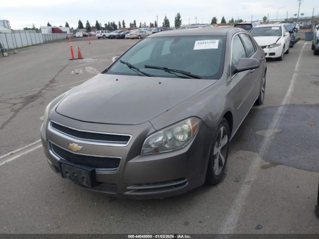 Chevrolet Malibu 1lt Image 6