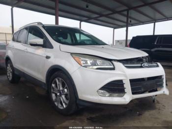  Salvage Ford Escape