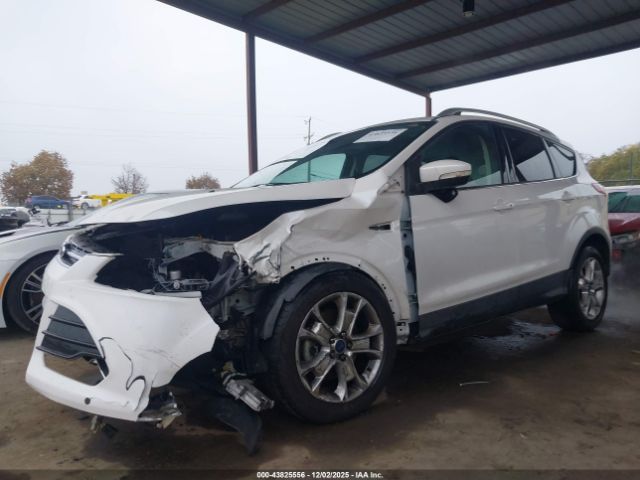 Ford Escape Titanium Image 3