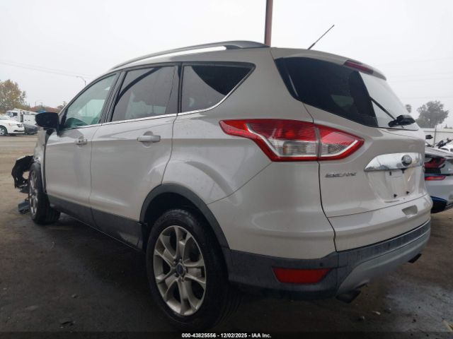 Ford Escape Titanium Image 15