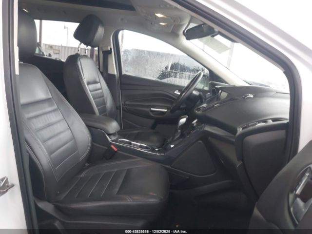 Ford Escape Titanium Image 6