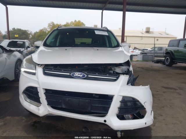 Ford Escape Titanium Image 5