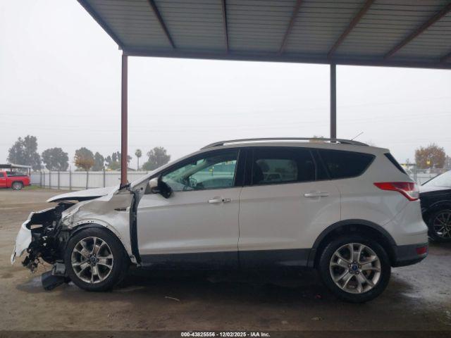 Ford Escape Titanium Image 12