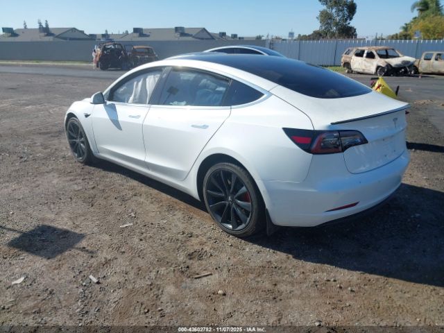 Tesla Model 3 Image 6