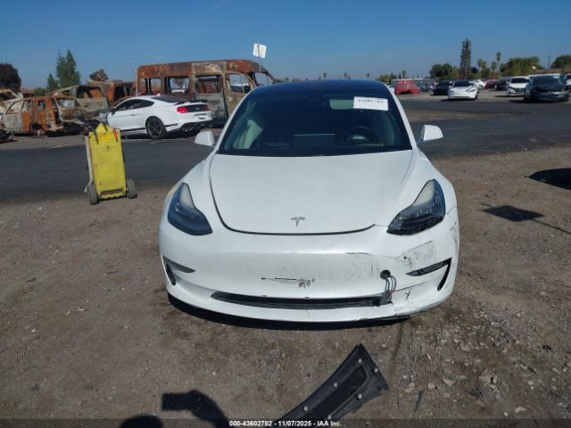 Tesla Model 3 Image 5