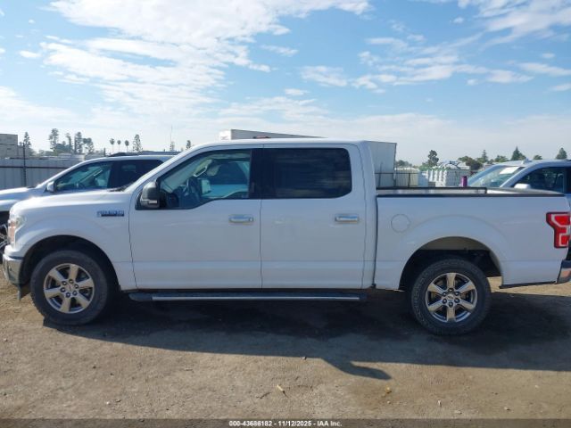 Ford F-150 Xlt Image 12