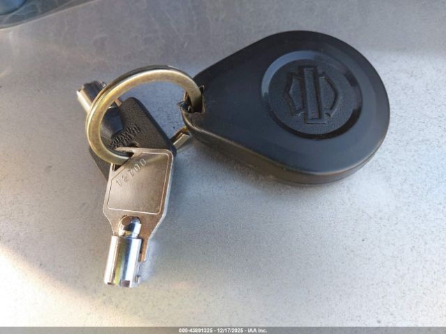 Harley-Davidson Fltrxst Image 9